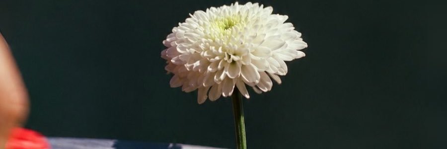eu_gabriel02's profile banner image