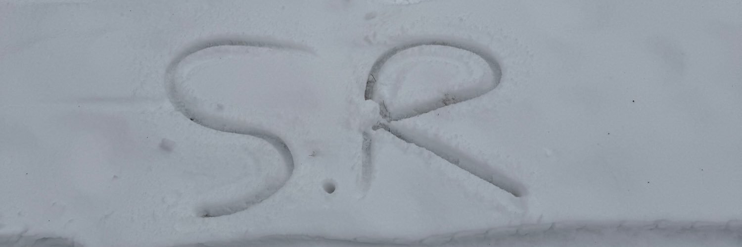 Saul Ruiz's banner