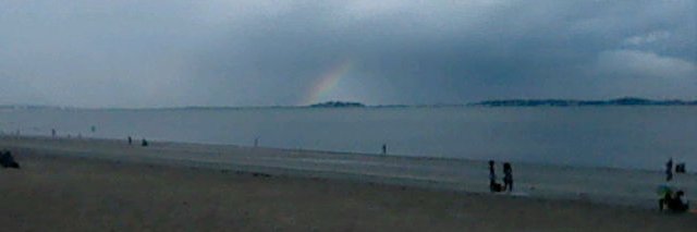 Annoying Dingle banner