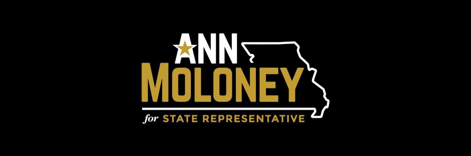 ann4staterep's profile banner image