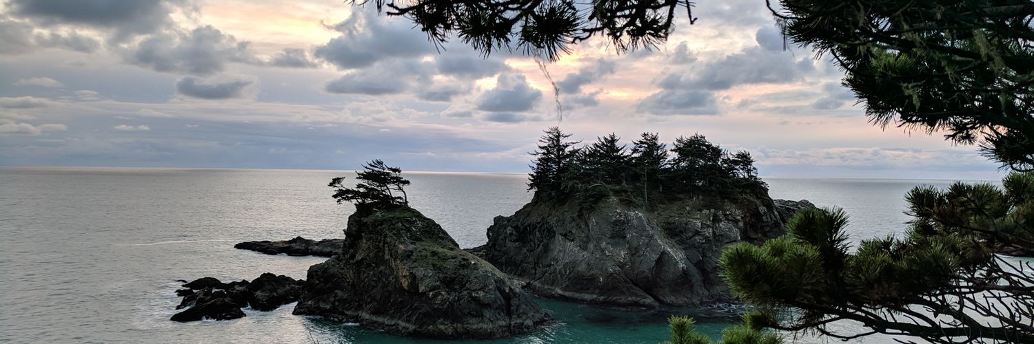 _AdrienneBrooks's profile banner image