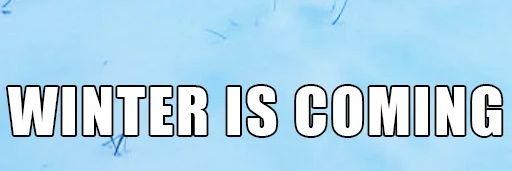 Daniela Garcia banner