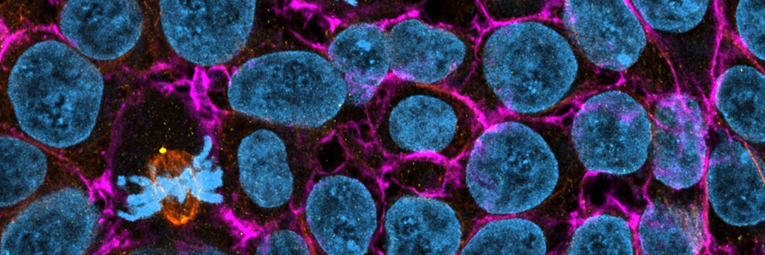 Hannah Louise Murray banner