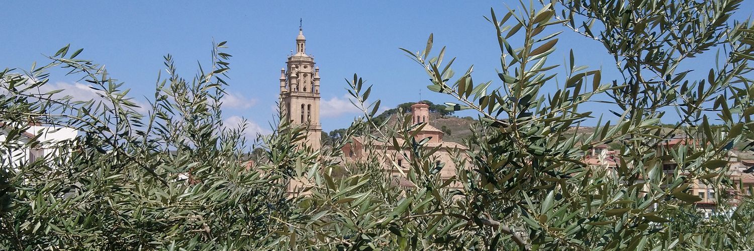 Javier Morrás banner