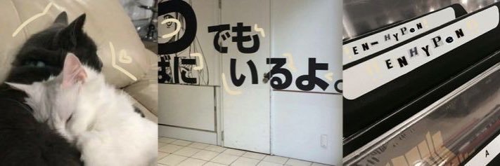 sunkitrades's profile banner image