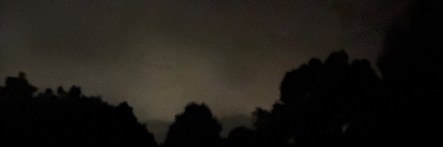 zay2crazy9's profile banner image