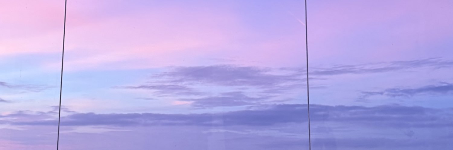 SYBI banner