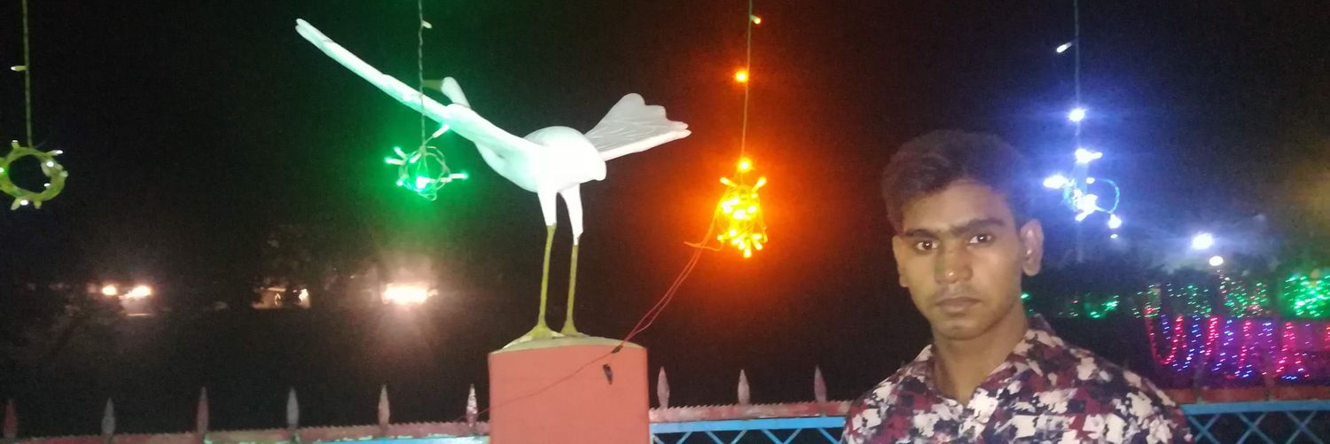 BiduHalder's profile banner image