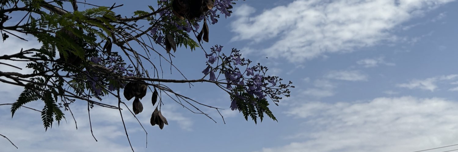 RmdanMrh's profile banner image