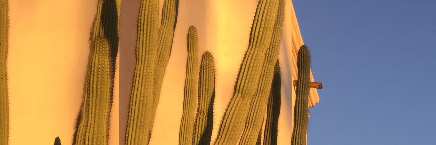 A B E L banner