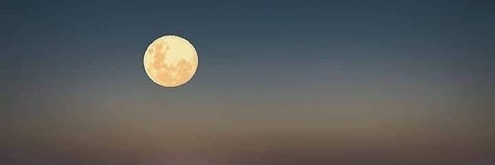 Bitcoin203's profile banner image