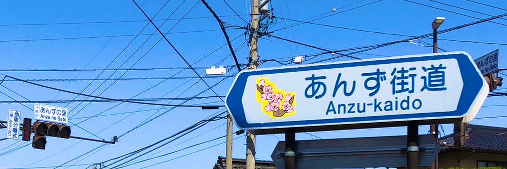 AnzuHonda's profile banner image