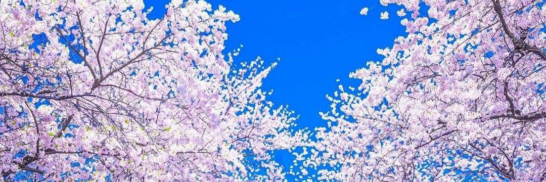 Danny_EL__'s profile banner image