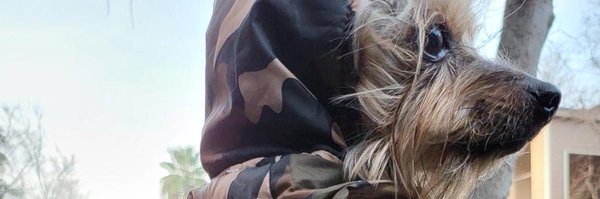 Dagoldbucket Profile Banner