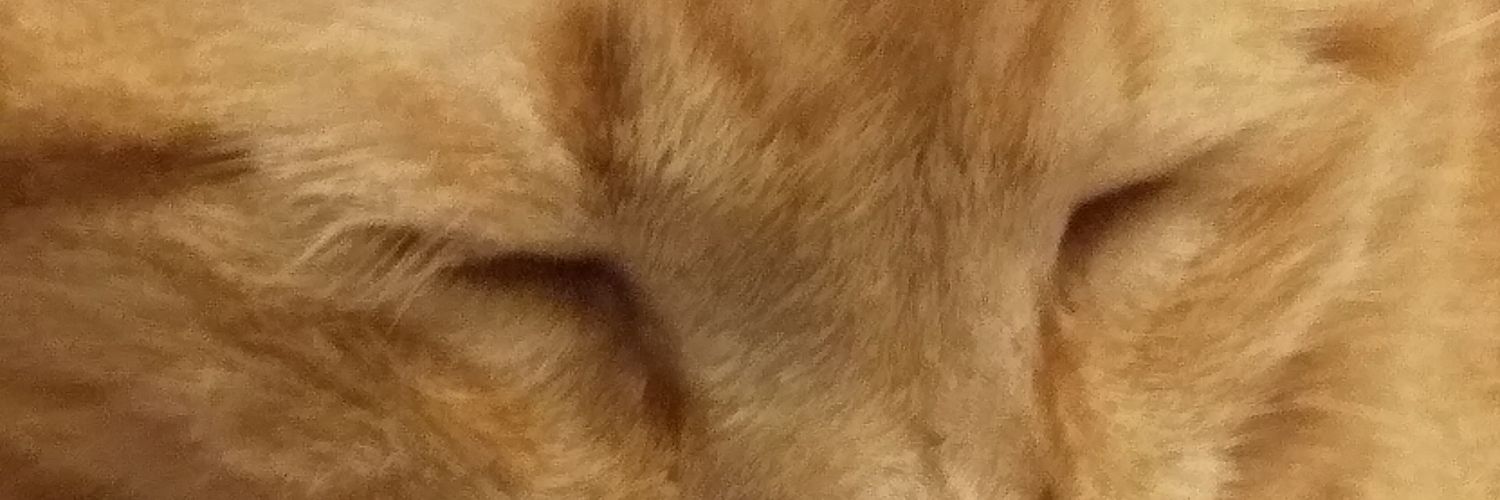 NeilPerdomo's profile banner image