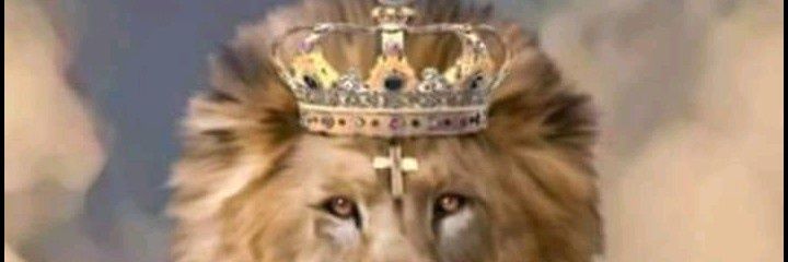 zeemarley's profile banner image