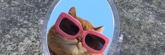 HeyItsBea_'s profile banner image