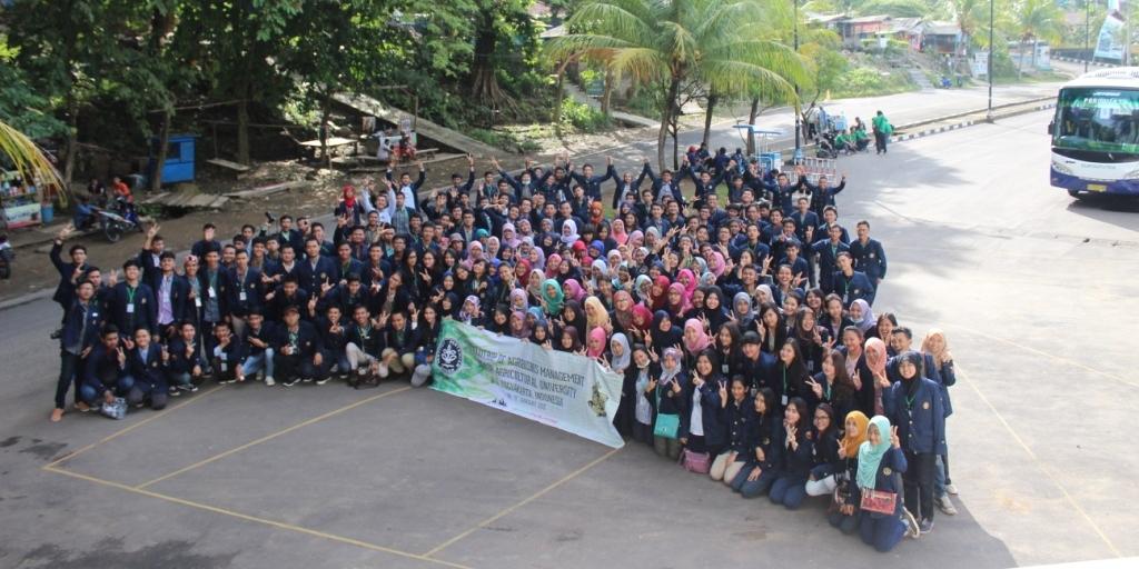 MAB IPB 50 banner