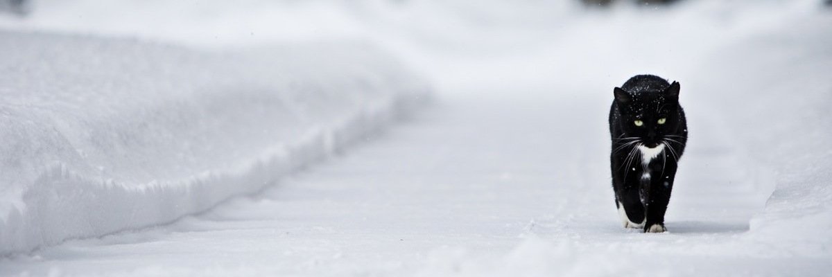 fatminha's profile banner image
