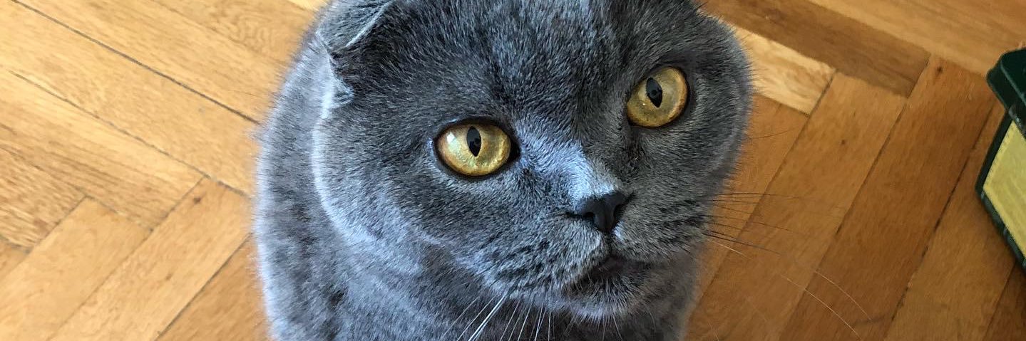 PDousoy's profile banner image