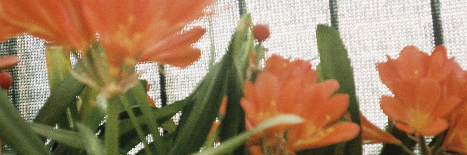 nuria_227's profile banner image