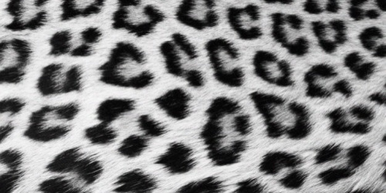 LeenaFD's profile banner image