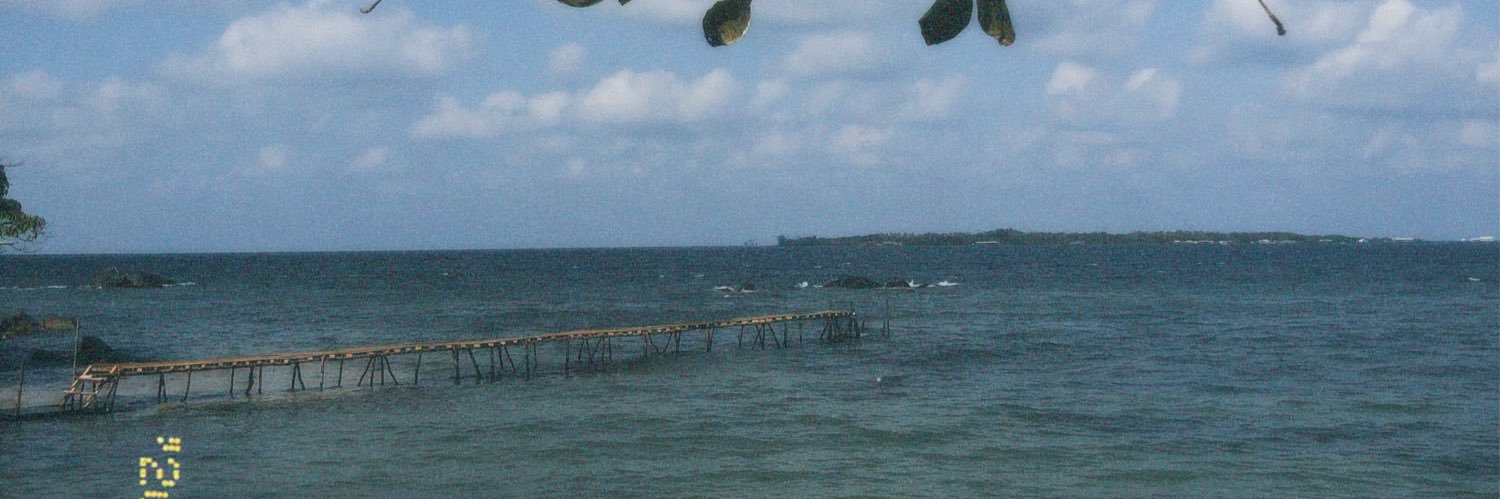 nopi demot phase banner