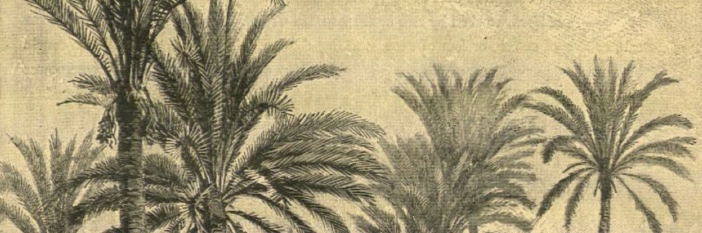 geineik's profile banner image