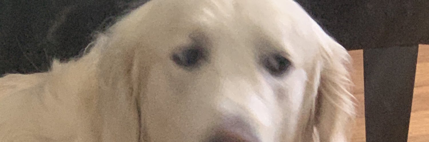 vikasafarova's profile banner image