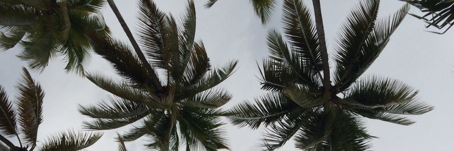 ConsiguePropied's profile banner image
