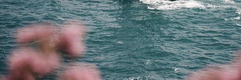 Ge_Lopumo's profile banner image