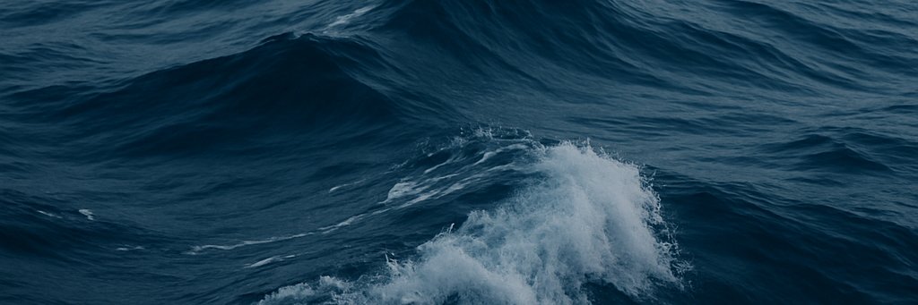 YVx23 🇼🇸 banner