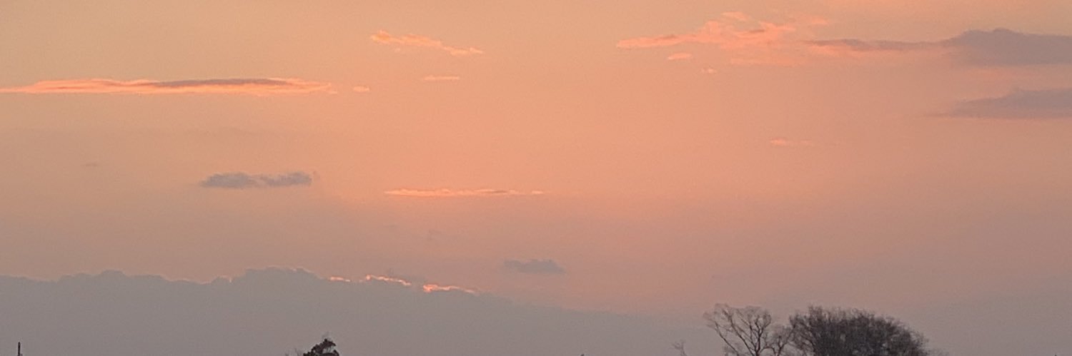 まめ banner