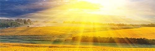 ohmygem24's profile banner image