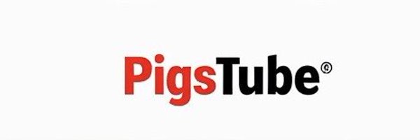 pigstube_ Profile Banner