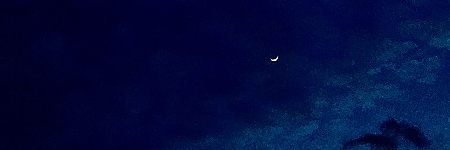 Insert_original_username_here/🇵🇸 banner