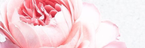 mrsjstringham's profile banner image