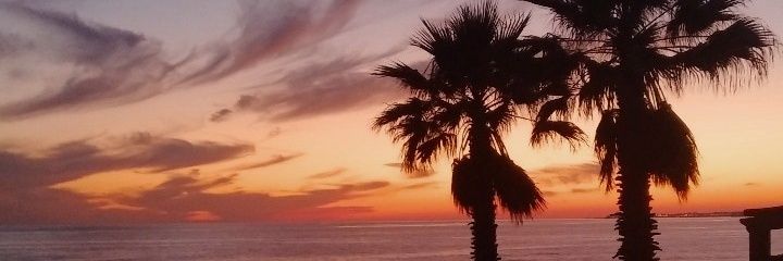 mariaborne's profile banner image