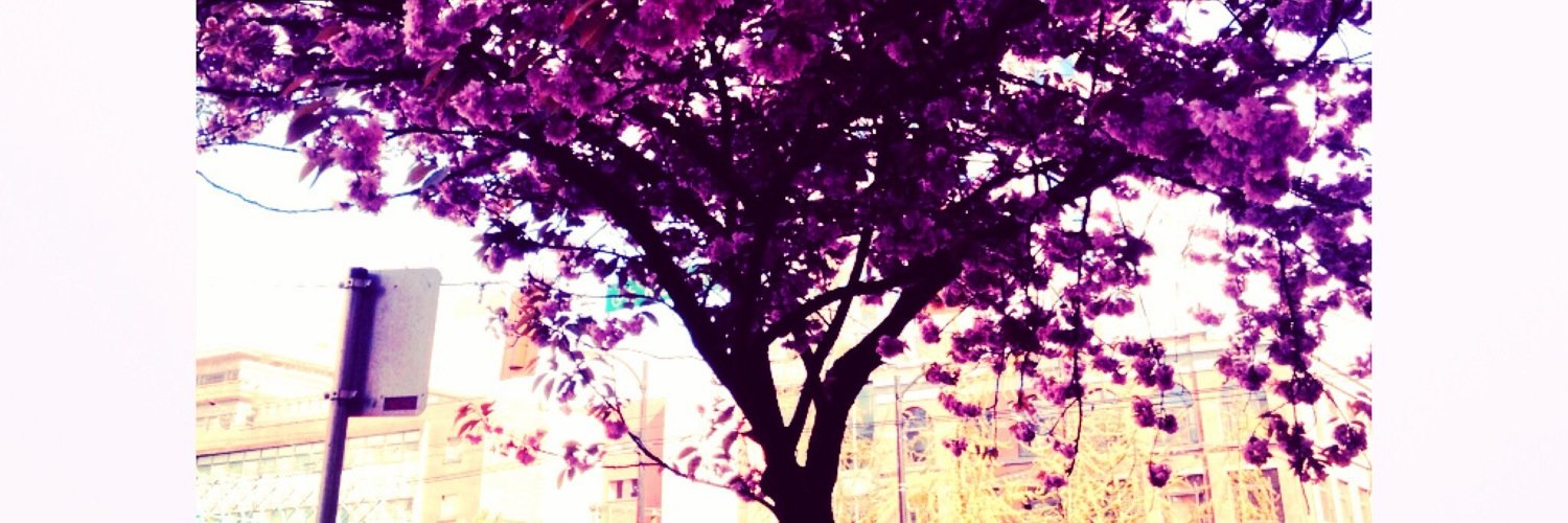 magsmacki's profile banner image