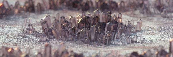 electropog Profile Banner