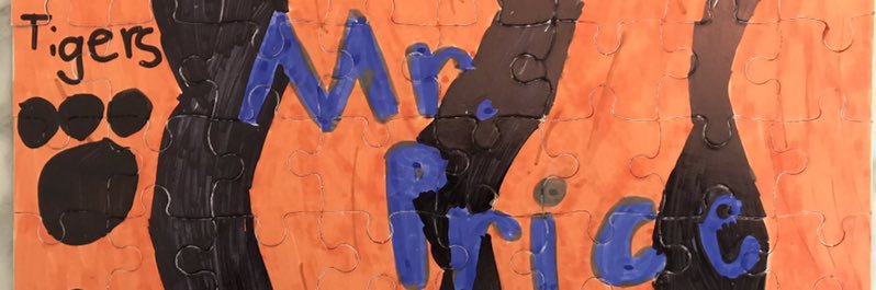 Mr. Price banner