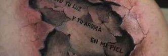 elanochecer's profile banner image
