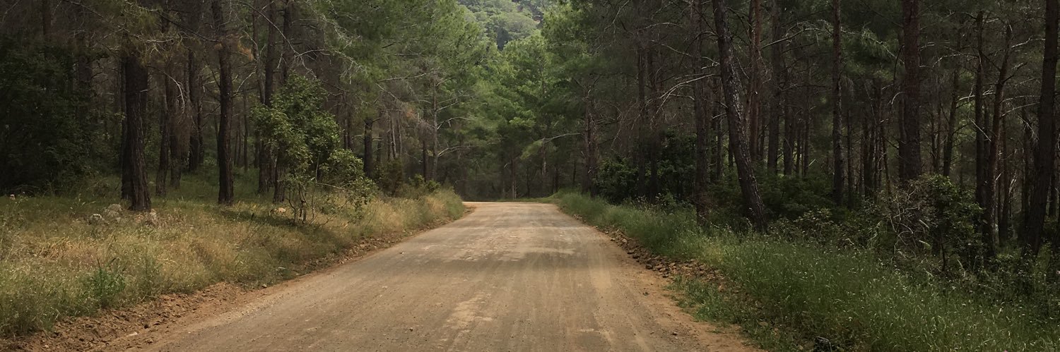 taner özçelik banner