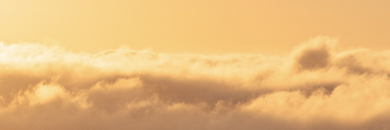 Christian Rees banner