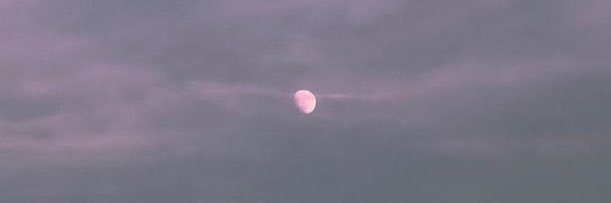 r banner