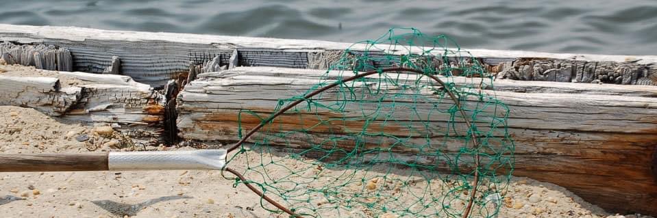 Jackie Corley banner