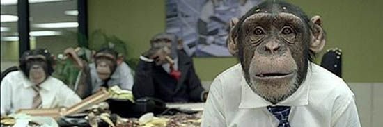 ape_aicoin's profile banner image