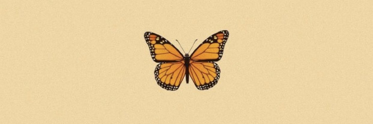 bri_collazo's profile banner image