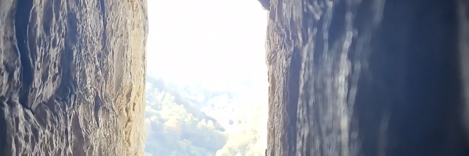 totall1981's profile banner image