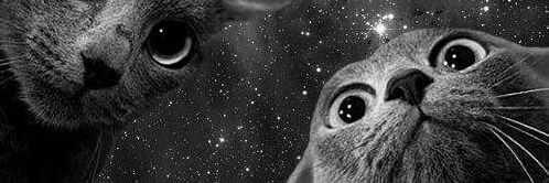 _wtffelipe_'s profile banner image
